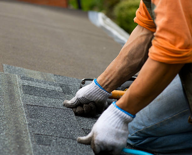 Quick and Trustworthy Emergency Roof Repair Services in Palisade, CO